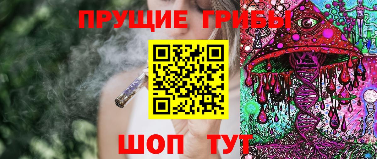 где продают наркотики  Вход с VPN  Балашиха  Галлюциногенные грибы Psilocybe  Галлюциногенные грибы Psilocybine cubensis 